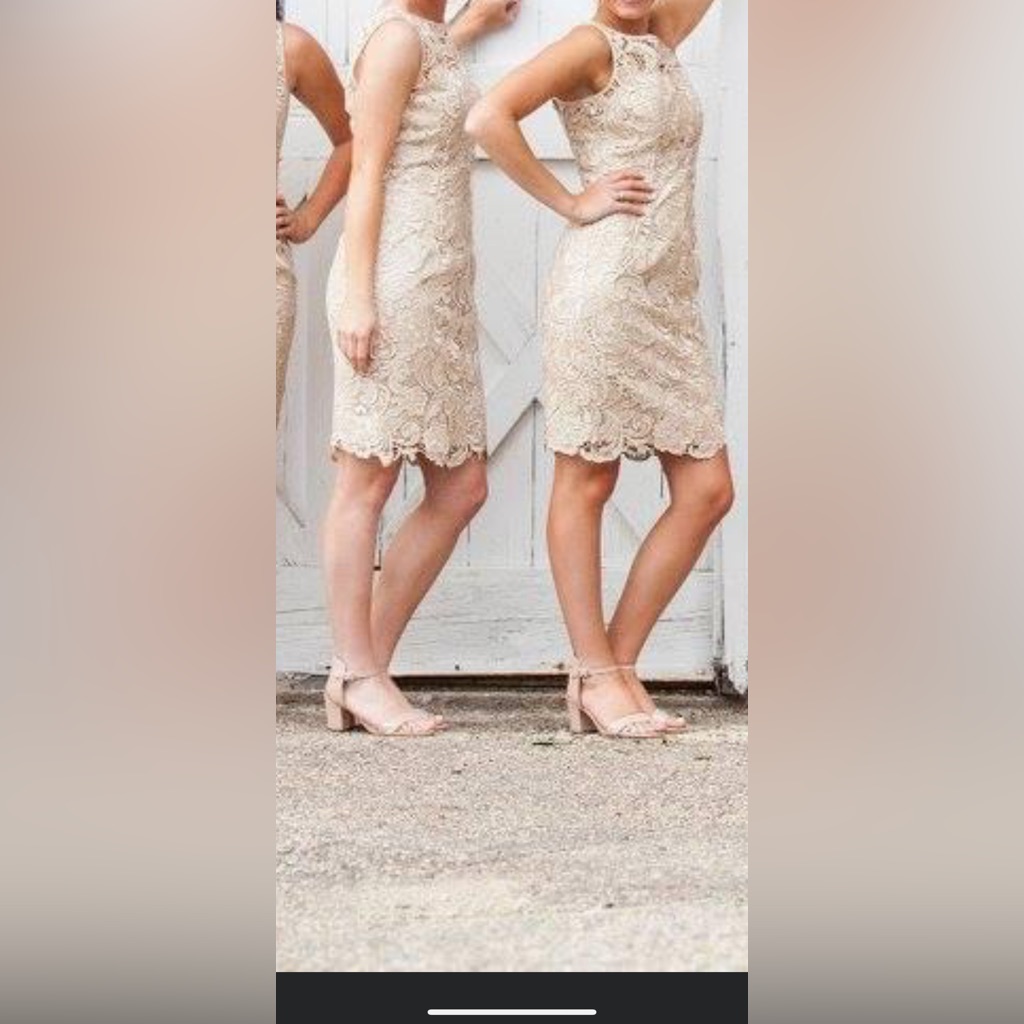 Adrianna Papell Illusion Neck Lace Sheath Dress - Size 2!